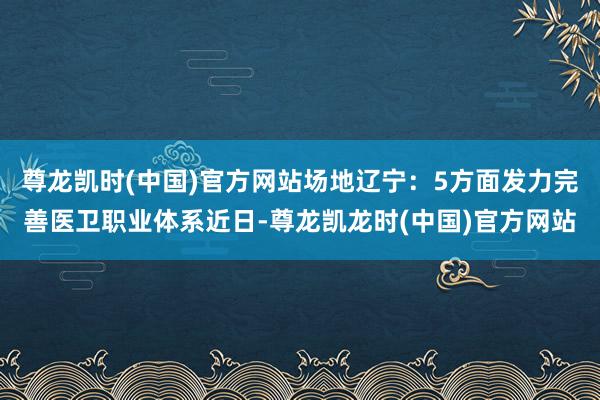 尊龙凯时(中国)官方网站场地辽宁：5方面发力完善医卫职业体系近日-尊龙凯龙时(中国)官方网站